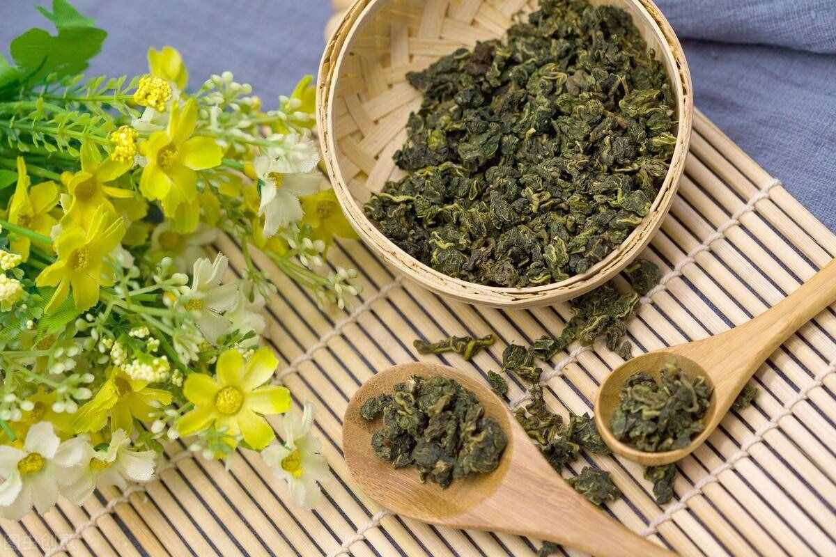 相關(guān)植物-桑葉