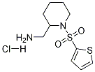 C-[1-(Thiophene-2-sulfonyl)-piperidin-2-yl]-methylamine hydrochloride Struktur