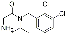 2-AMino-N-(2,3-dichloro-benzyl)-N-isopropyl-acetaMide Struktur