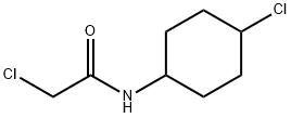 2-Chloro-N-(4-chloro-cyclohexyl)-acetaMide Struktur