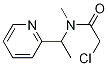 2-Chloro-N-Methyl-N-(1-pyridin-2-yl-ethyl)-acetaMide Struktur