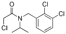 2-Chloro-N-(2,3-dichloro-benzyl)-N-isopropyl-acetaMide Struktur