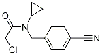 2-Chloro-N-(4-cyano-benzyl)-N-cyclopropyl-acetaMide Struktur