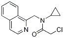 2-Chloro-N-cyclopropyl-N-isoquinolin-1-ylMethyl-acetaMide Struktur