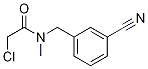 2-Chloro-N-(3-cyano-benzyl)-N-Methyl-acetaMide Struktur