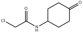 2-Chloro-N-(4-oxo-cyclohexyl)-acetaMide Struktur