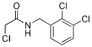 2-Chloro-N-(2,3-dichloro-benzyl)-acetaMide Struktur