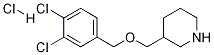 3-(3,4-Dichloro-benzyloxymethyl)-piperidine hydrochloride Struktur