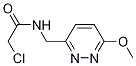 2-Chloro-N-(6-Methoxy-pyridazin-3-ylMethyl)-acetaMide Struktur