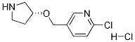 2-Chloro-5-((R)-pyrrolidin-3-yloxymethyl)-pyridine hydrochloride Struktur