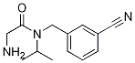 2-AMino-N-(3-cyano-benzyl)-N-isopropyl-acetaMide Struktur