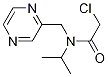 2-Chloro-N-isopropyl-N-pyrazin-2-ylMethyl-acetaMide Struktur