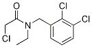 2-Chloro-N-(2,3-dichloro-benzyl)-N-ethyl-acetaMide Struktur