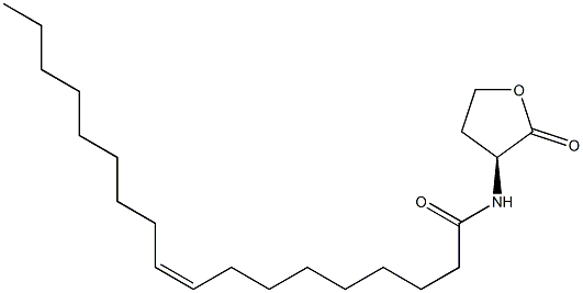 N-cis-octadec-9Z-enoyl-L-Homoserine lactone Struktur