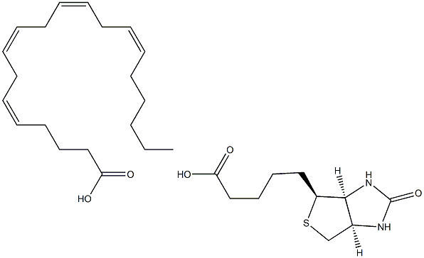 Arachidonic Acid-biotin Struktur