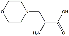 (R)-2-aMino-3-Morpholinopropanoic acid