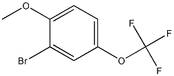 3-BroMo-4-Methoxy(trifluoroMethoxy)benzene Struktur