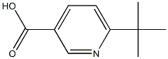 6-tert-butylpyridine-3-carboxylic acid Struktur