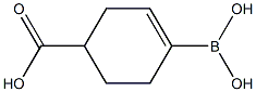 4-boronocyclohex-3-enecarboxylic acid Struktur