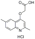 (2,6-DIMETHYL-QUINOLIN-4-YLOXY)-ACETIC ACIDHYDROCHLORIDE Struktur