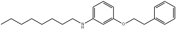 N-Octyl-3-(phenethyloxy)aniline Struktur