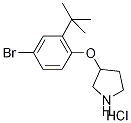 3-[4-Bromo-2-(tert-butyl)phenoxy]pyrrolidinehydrochloride Struktur