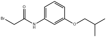 2-Bromo-N-(3-isobutoxyphenyl)acetamide Struktur