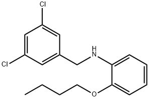 2-Butoxy-N-(3,5-dichlorobenzyl)aniline Struktur