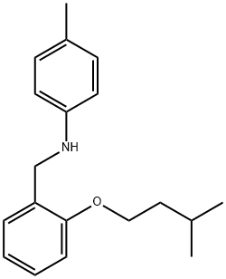 N-[2-(Isopentyloxy)benzyl]-4-methylaniline Struktur