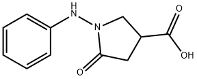 1-Anilino-5-oxopyrrolidine-3-carboxylic  acid Struktur