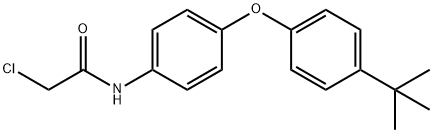 N-[4-(4-tert-butylphenoxy)phenyl]-2-chloroacetamide Struktur