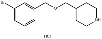 4-{[(3-Bromobenzyl)oxy]methyl}piperidinehydrochloride Struktur