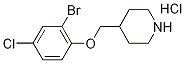 4-[(2-Bromo-4-chlorophenoxy)methyl]piperidinehydrochloride Struktur