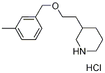 3-{2-[(3-Methylbenzyl)oxy]ethyl}piperidinehydrochloride Struktur