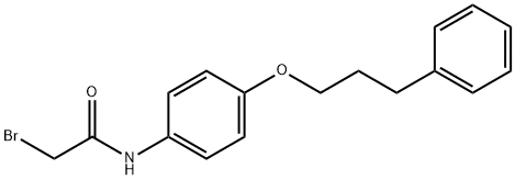 2-Bromo-N-[4-(3-phenylpropoxy)phenyl]acetamide Struktur