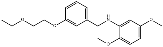 N-[3-(2-Ethoxyethoxy)benzyl]-2,5-dimethoxyaniline Struktur