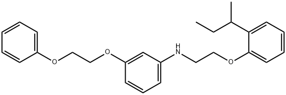 N-{2-[2-(sec-Butyl)phenoxy]ethyl}-3-(2-phenoxyethoxy)aniline Struktur