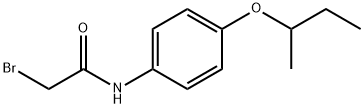 2-Bromo-N-[4-(sec-butoxy)phenyl]acetamide Struktur