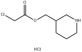 3-Piperidinylmethyl 2-chloroacetate hydrochloride Struktur