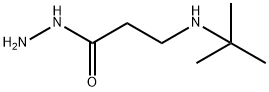 3-(TERT-BUTYLAMINO)PROPANOHYDRAZIDE Struktur