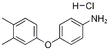 4-(3,4-DIMETHYLPHENOXY)ANILINE HYDROCHLORIDE Struktur