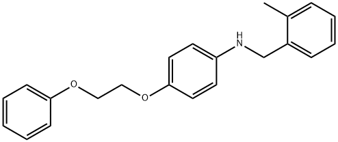 N-(2-Methylbenzyl)-4-(2-phenoxyethoxy)aniline Struktur