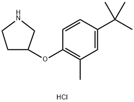 3-[4-(tert-Butyl)-2-methylphenoxy]pyrrolidinehydrochloride Struktur