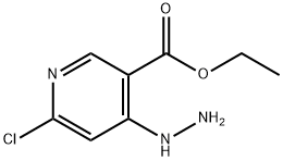 Ethyl 6-chloro-4-hydrazinylpyridine-3-carboxylate Struktur