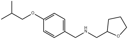 (4-Isobutoxyphenyl)-N-(tetrahydro-2-furanylmethyl)methanamine Struktur