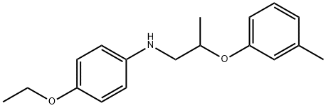 4-Ethoxy-N-[2-(3-methylphenoxy)propyl]aniline Struktur