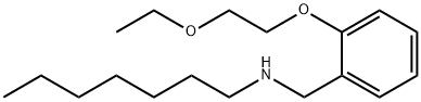 N-[2-(2-Ethoxyethoxy)benzyl]-1-heptanamine Struktur