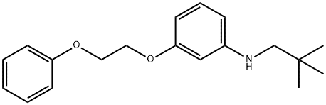 N-Neopentyl-3-(2-phenoxyethoxy)aniline Struktur