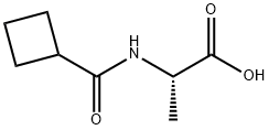 N-(Cyclobutylcarbonyl)alanine Struktur