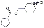 3-Piperidinylmethyl cyclopentanecarboxylatehydrochloride Struktur